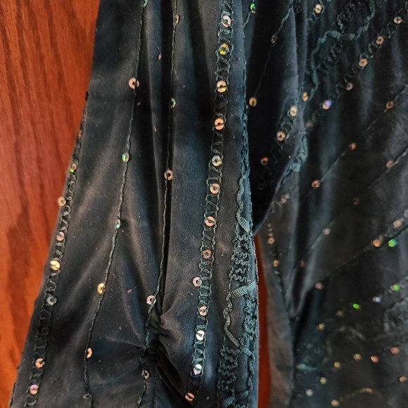Dressbarn teal green sequin  embroidered vneck top xl - Picture 3 of 5